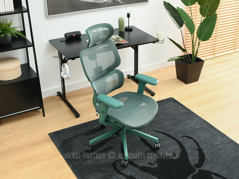 Židle Horst (zelená + zelená)