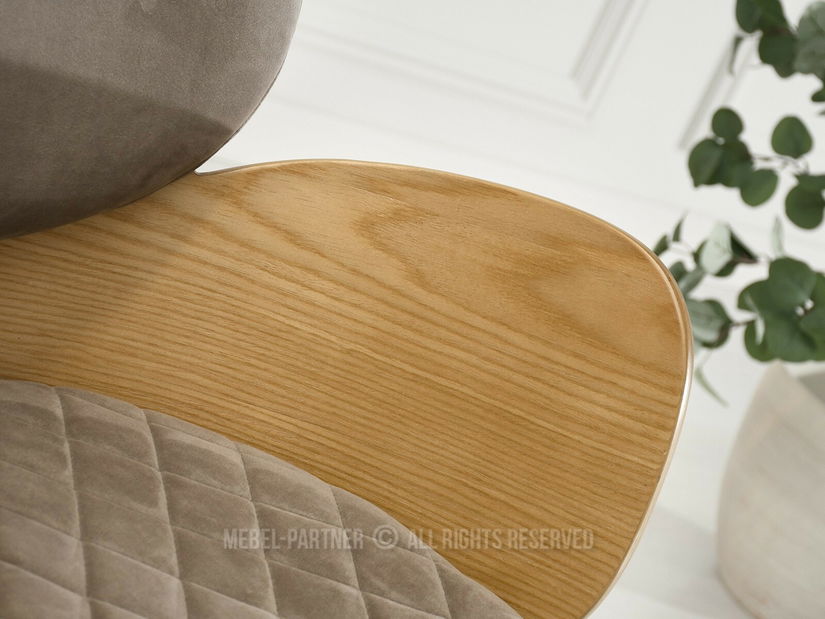 Jídelní židle Ahogar (béžová + dub)