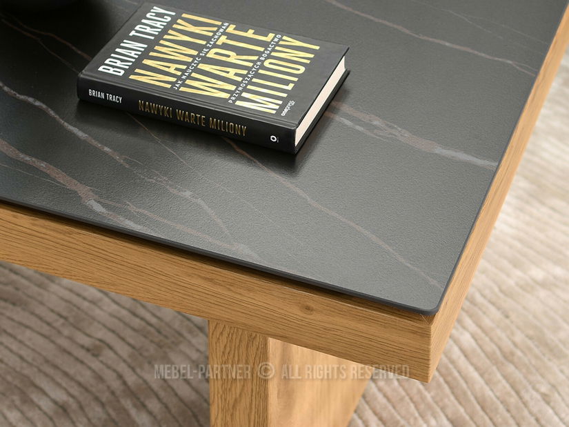 Konferenční stolek Aventajaban (černá + dub)