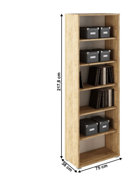 Regál Rumia 01 (dub artisan + bíla)