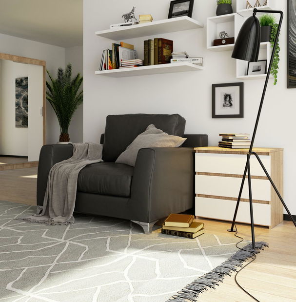 Komoda Cleania CL3 (dub sonoma + bílá)