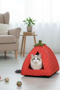 Pelíšek pro kočky Bepa 2 (modrá)