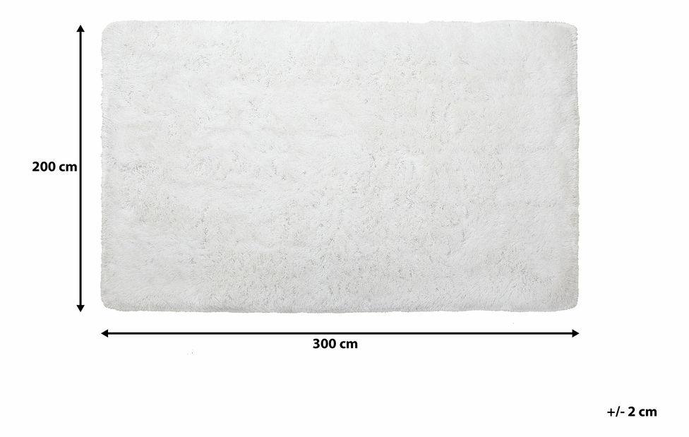 Koberec 300 cm Caiguna (bílá)