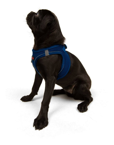 Postroj pro psa Airy (růžová) (M) 1