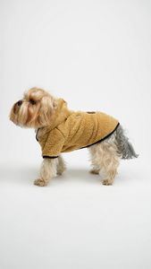 Bunda pro psa Tedi (modrá) 1