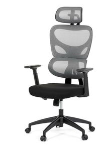 Kancelářské křeslo Kasparov (šedá)