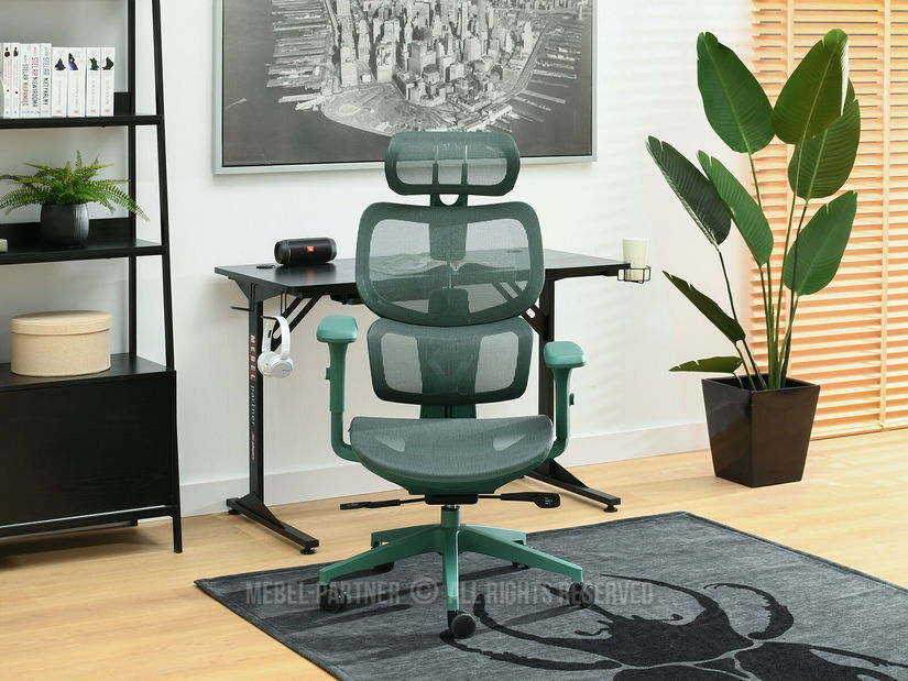 Židle Horst (zelená + zelená)