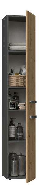 Koupelnová skříňka Neltossa 10 (antracit + dub artisan)