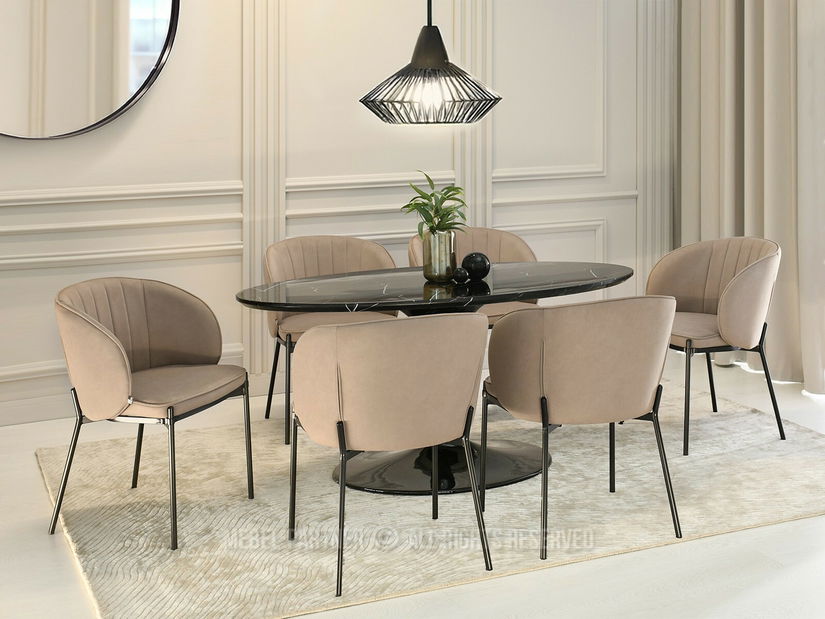 Jídelní židle Finalizaba (béžová + černá)