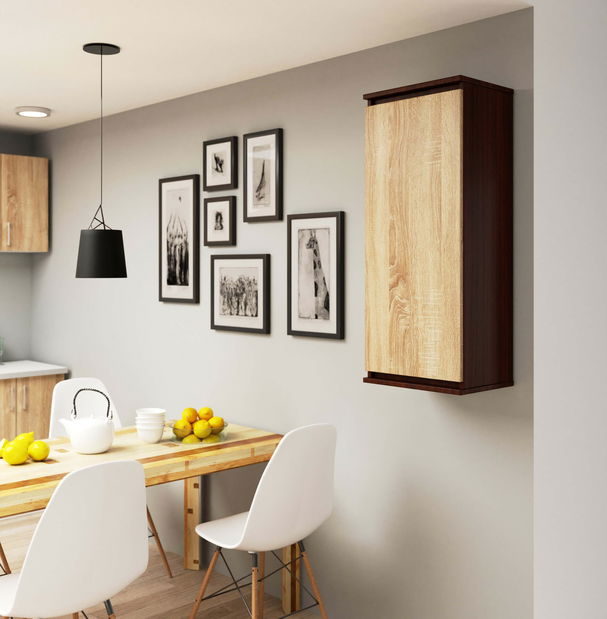 Závěsná skříňka Wren II (wenge + dub sonoma)