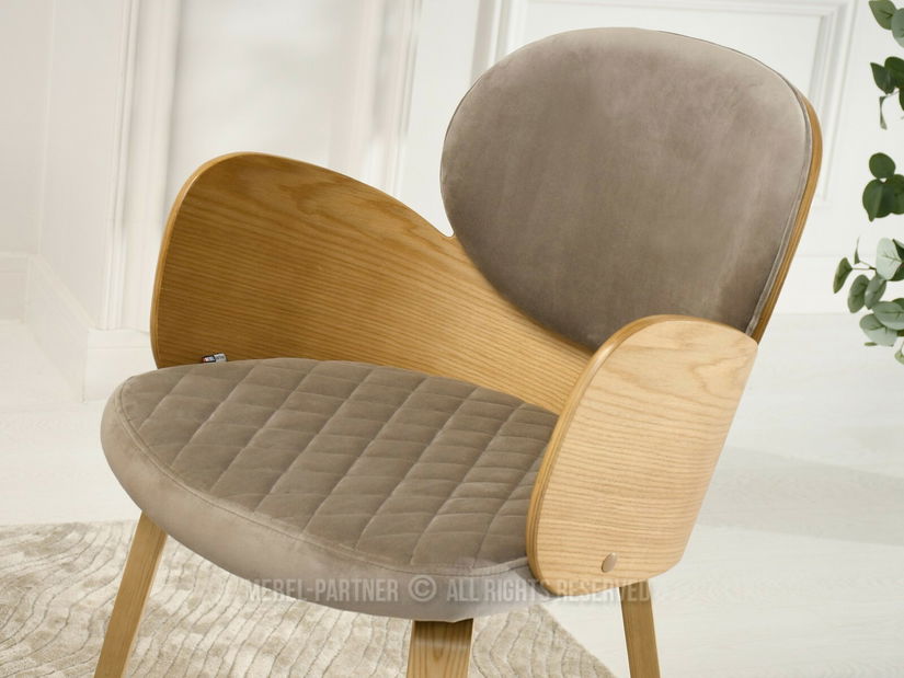 Jídelní židle Ahogar (béžová + dub)