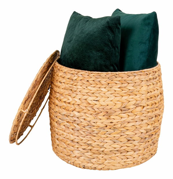 Úložný box Dmiteria (přírodní)