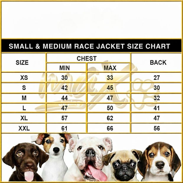 Bunda pro psa Frog (zelená) (XL)