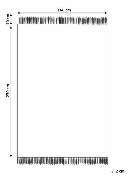 Koberec 160 x 230 cm Sazlak (béžová)