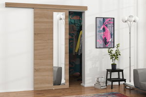 Posuvné dveře Meralia 8 (dub sonoma + zrcadlo)