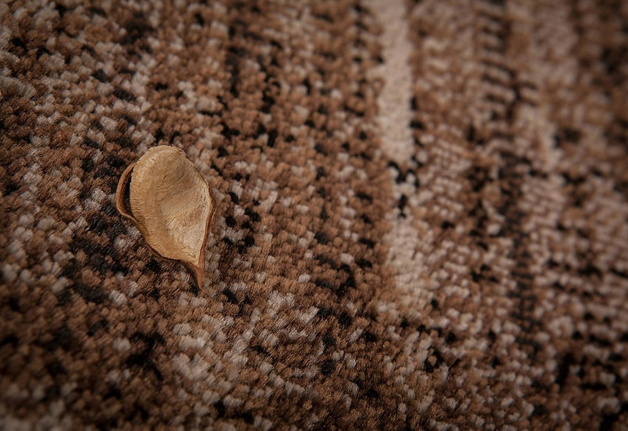 Kusový koberec Neo 330 Beige