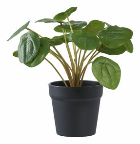 Umělá rostlina Panselia (zelená)