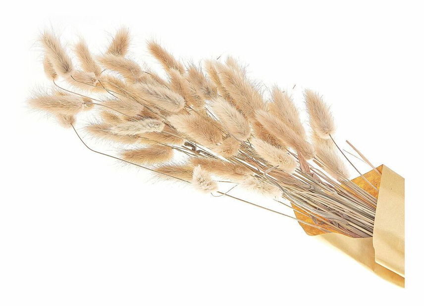 Kytice sušených květin Sixta (přírodní)