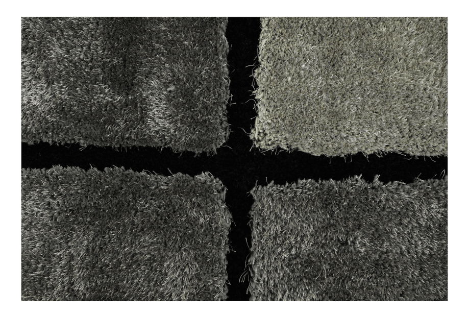 Koberec (200 x 300 cm) Leonard typ 2