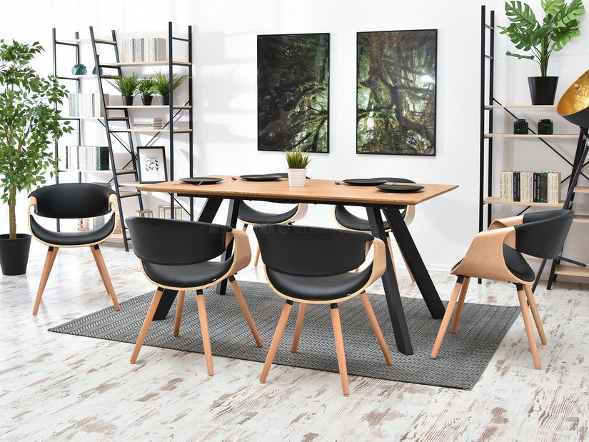 Židle Bjorn K (dub černý + dub)
