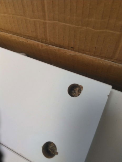 Noční stolek Leopold (Bílá) *bazar