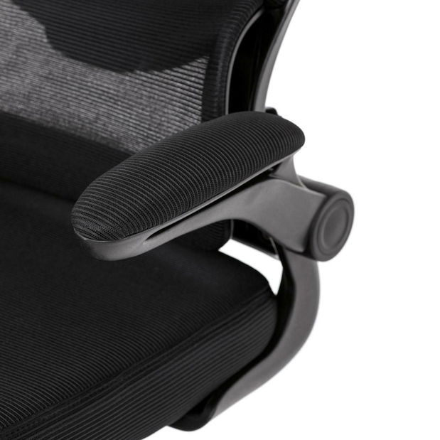 Kancelářské křeslo Polizones (černá)