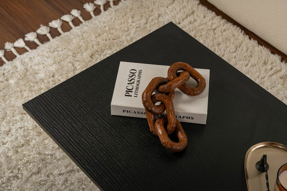 Konferenční stolek Savrina (černé dřevo)