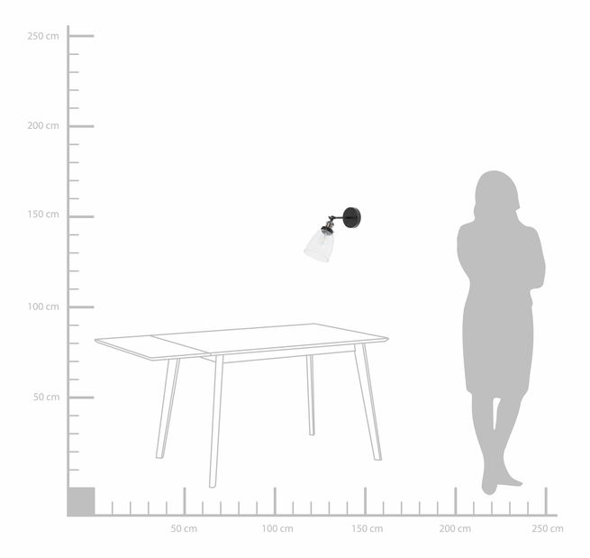 Stropní/nástěnné svítidlo Lianus (černá)