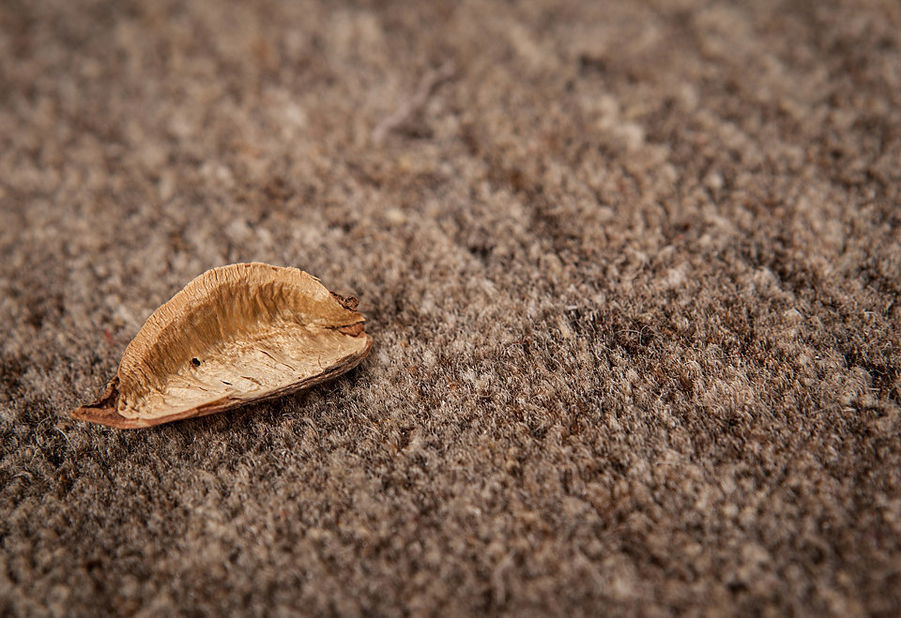 Ručně vyrobený koberec Prestige 650 Silver