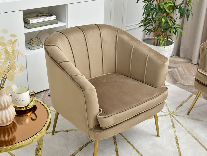 Křeslo Etimee F (béžová + černá)