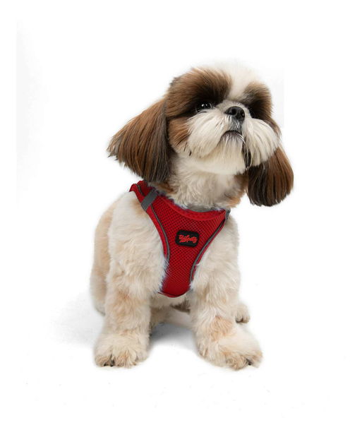 Postroj pro psa Airy (červená) (3XS)