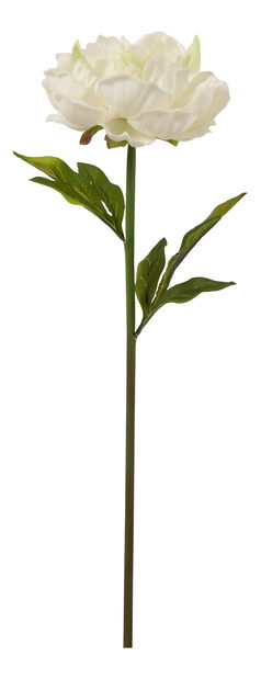 Růže (bílá) 51x11x12cm