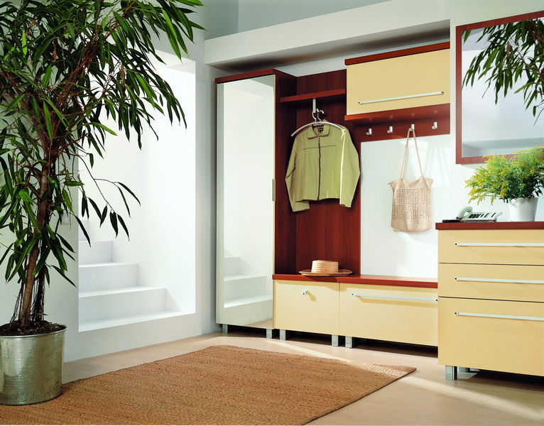 Botník (skříňka na boty) BRW VIS A VIS VK2S/8/8