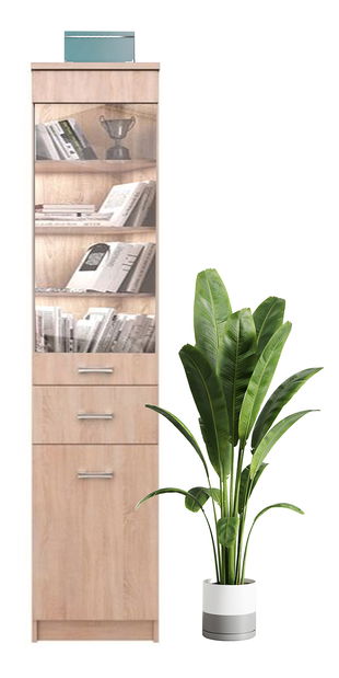 Vitrína Tianna 1d1w1s (dub sonoma)