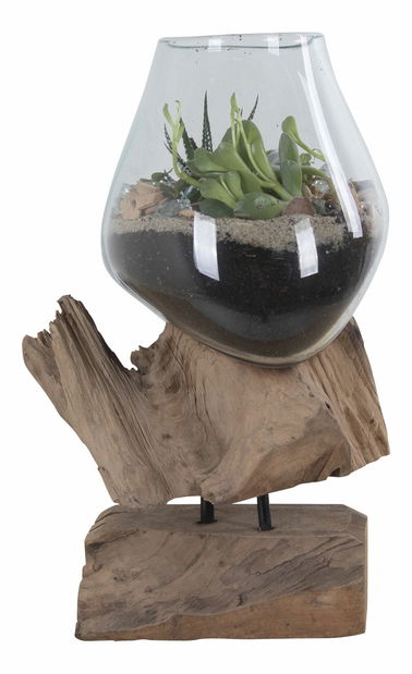 Dekorace Sorelia 1 (přírodní)