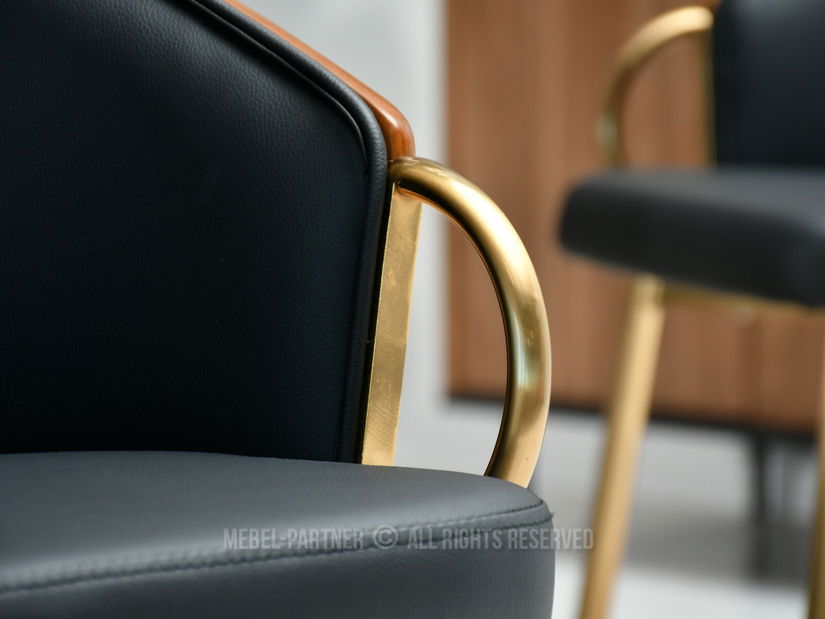 Židle Elviria K (ořech tmavý + zlatá)