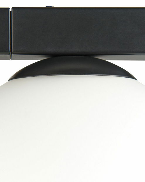 Nástěnné svítidlo s květináčem 1 Iza (černá)