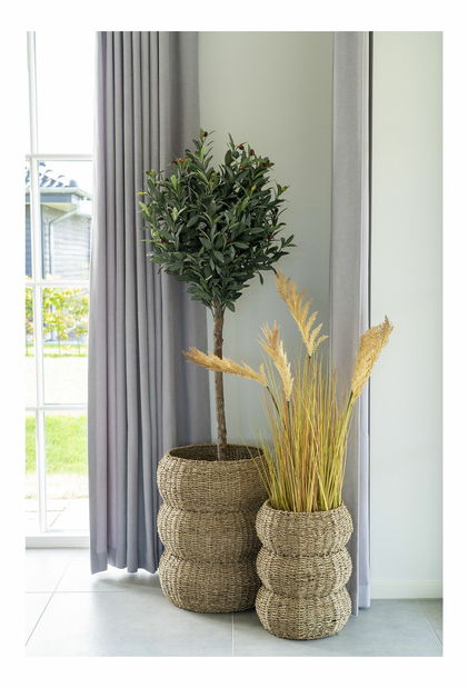 Set 2 ks proutěných květináčů Svatina (přírodní)