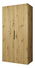 Šatní skříň 100 cm Mirabella 1 (dub artisan + černá)