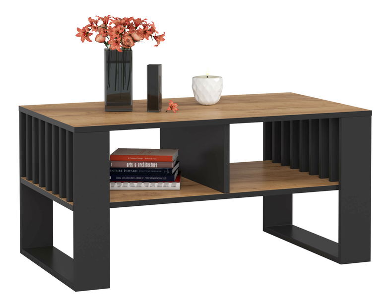 Konferenční stolek Renunciara (dub craft + černá)