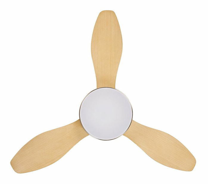Stropní ventilátor se světlem Brunilda (stříbrná)