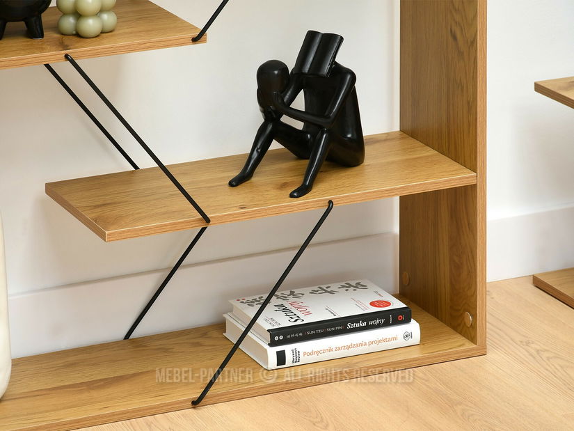 Obývací stěna Healey 2 (dub + černá)