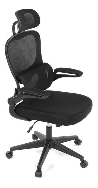 Kancelářské křeslo Polizones (černá)