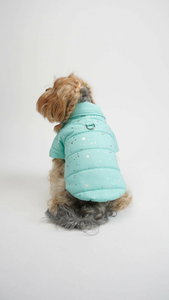 Bunda pro psa Angela (modrá) (M)