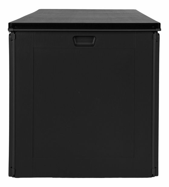 Úložný box Dorseliaia 1 (černá)