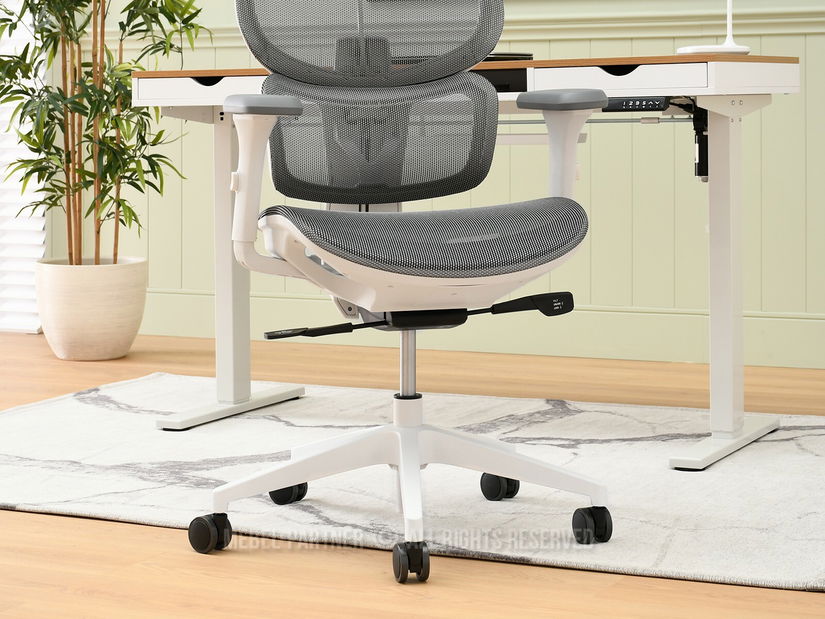 Židle Horst (šedá)