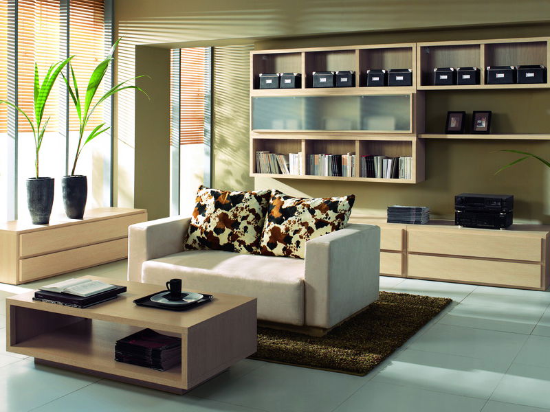 Dvířka BRW DOORS HFD 1616/520 