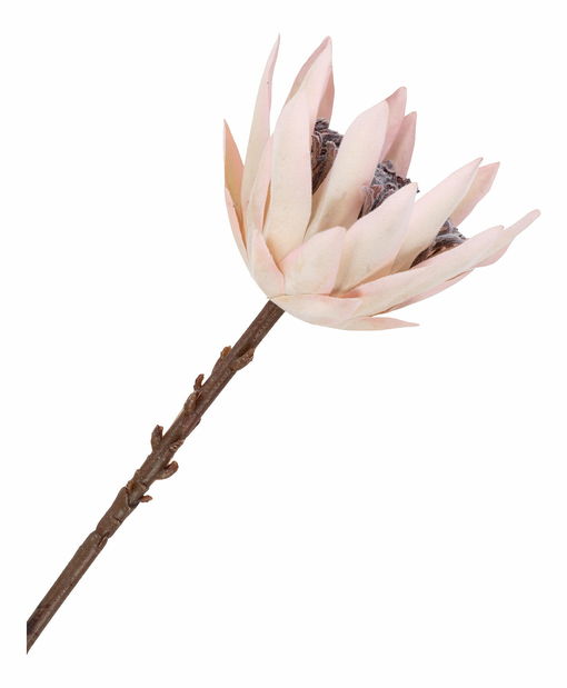 Kytice Koravina 1 (bordó)