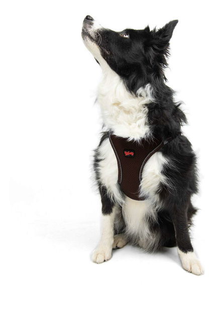 Postroj pro psa Airy (modrá) (XL)