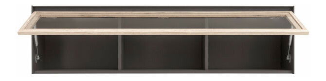 Vitrína na stěnu BRW Fini SFW1W/4/14